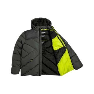 Munich Heren, Jassen, Groen, Maat: M Leer