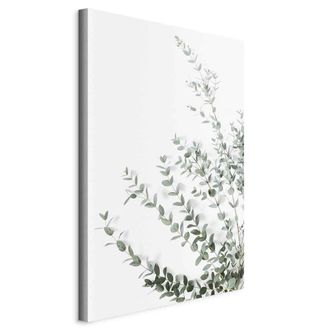 OEM Imagen - Eucalipto Parvifolia (1 Parte) Vertical