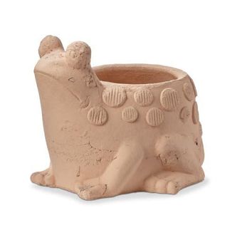 Tag Frog Planter Terracotta Orange Cute Garden Decor at Nordstrom