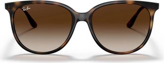 Ray-Ban Sunglasses Rb4378 710/13 Brown/Brown Unisex