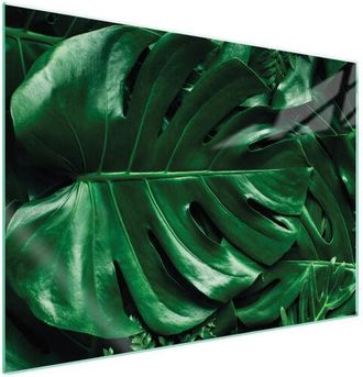 OEM Placa Protectora De Vidrio Para Estufa 70x52 Monstera