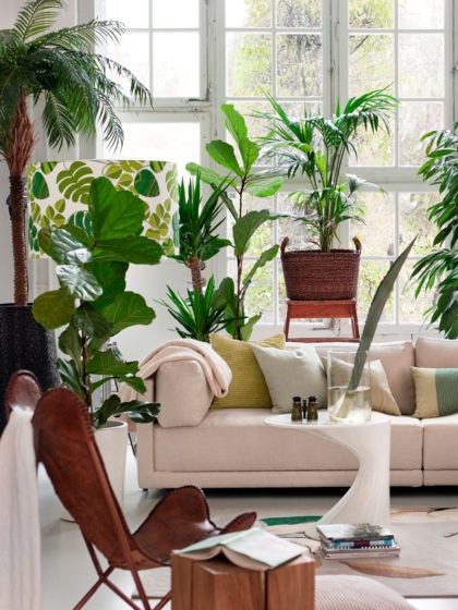 So stylst du den Wohntrend Urban Jungle