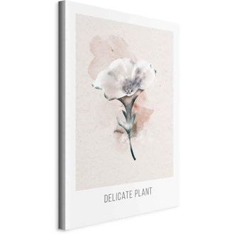 OEM Imagen - Planta Delicada (1 Pieza) Vertical