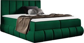 Mirjan24 Cama Continental Cursus, Kronos 19, Continental, Individuales, 120x200, Tapiz, Somieres, 140x218x103cm