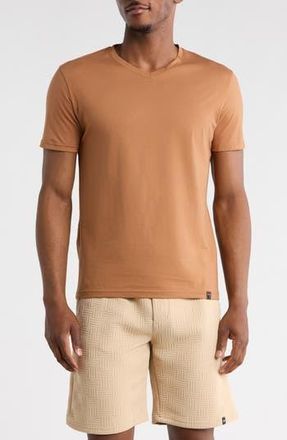 T.R. Premium Solid V-Neck T-Shirt in Mocha at Nordstrom Rack, Size Xx-Large
