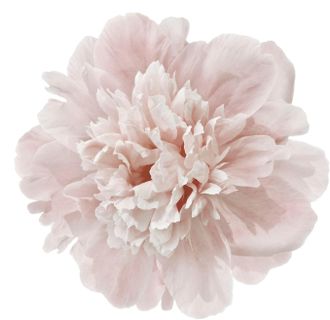 Queence Wandtattoo »Doreen« Wandbild, Sticker, rosa, Blume, Blüte, selbstklebend, Pastellfarben