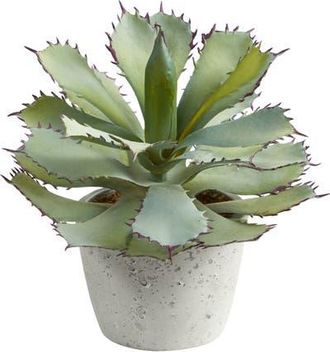 Nearly Natural 11-in Succulent Artificial Plant in Green at Nordstrom