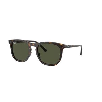 Ray-Ban Rb 2210 Zonnebrillen - unisex - Zonnebrillen - Bruin - 53 MM - Accessoires