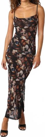 Olivaceous Lina Mesh Dress In Black Multi