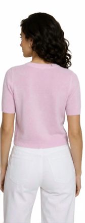 Autumn Cashmere Cropped Short Sleeve Crew Sweater In Peppermint