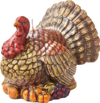 Tag Tucker Turkey Candle - Thanksgiving Decor Multicolor Wax in Brown at Nordstrom