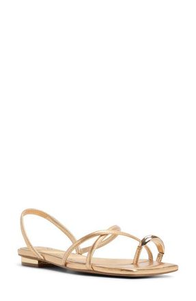 Aldo Synthesa Toe Loop Sandal in Gold at Nordstrom, Size 7.5