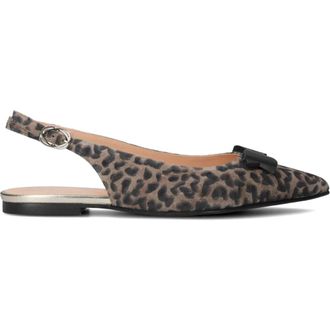 Floris Van Bommel Dames, Schoenen, Bruin, Maat: 38 EU