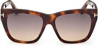 Tom Ford Flynn 55mm Gradient Butterfly Sunglasses in Classic Havana/Gradient Smoke at Nordstrom