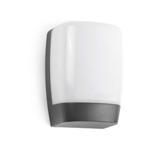 Netlighting Pol LED Outdoor Wall Light White Dark Grey IP54