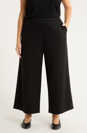 Eileen Fisher Ankle Wide Leg Pants in Black at Nordstrom, Size 2 X