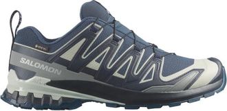 Salomon XA Pro 3D V9 GTX Multisportschuhe f&uuml;r Herren | grau