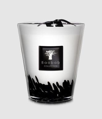 Baobab Bougie Max 16 Feathers