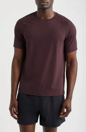 Zella Endurance Performance T-Shirt in Brown Plum at Nordstrom, Size Xx-Large