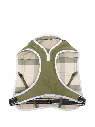Barbour A los efectos de este anexo, se aplican las siguientes definiciones