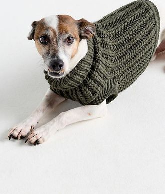 Barbour Saltburn Dog Jumper Top