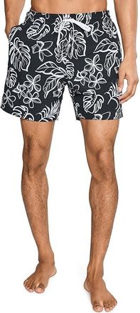 Chubbies The Briefly In Paradise 5.5 (Classic Lined Swim Trunks) Mens Swimwear Black-pattern Base : 2XL, Polyester/Spandex