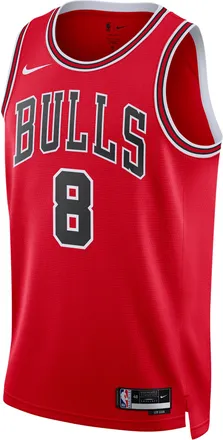 Nike Caleb Wilson Chicago Bulls Icon Edition Nike Mens Dri-FIT NBA Swingman Jersey in Red | DN2000-671