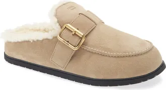 Prada Genuine Shearling Buckle Mule in Deserto at Nordstrom, Size 39.5