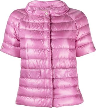 Herno short sleeved padded jacket - women - Cotton/Polyamide/Polyester/Polyamide/Down/Feather - 42 - Pink