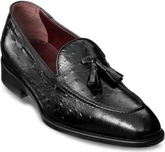 Paul Fredrick Stuart Tassel Loafer in Black at Nordstrom, Size 8.5