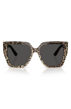 Dolce & Gabbana 55mm Square Sunglasses in Leo Brown On Black /Dark Grey at Nordstrom