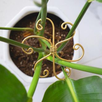 OEM Juego De 5 Estacas De Soporte Para Tallos De Plantas Monstera, Soportes Met&aacute;licos Para Cactus Monstera Y Espinas De Pescado - Crezuo