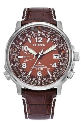 Citizen Promaster Sky Perpetual World Time Eco-Drive Leather Strap Watch, 42.4mm in Brown/burgundy at Nordstrom Rack