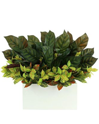 Creative Displays Inc. Uv-Rated Outdoor Aglaonema And Croton Arranged In White Fiberstone Planter