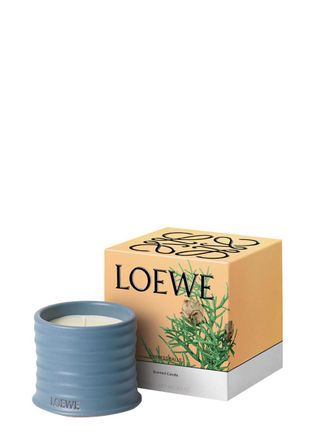 Loewe Cypress Balls Candle - Small 170g, Candle, Mid-intensity Fragrance, Evergreen Aroma of the Towering, Coniferous Cypress Tree, Deep Woody Notes