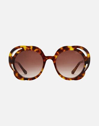 Ted Baker Womens Ted Baker Womens Aurora Sunglasses in Classic Tortoiseshell