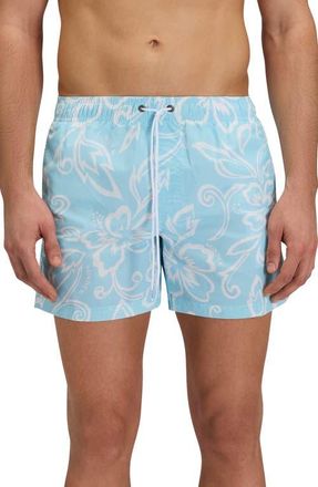 Sundek Print Swim Trunks in Vintage Glacier at Nordstrom, Size X-Large