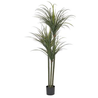Beliani Planta Artificial En Maceta Para Interior Decoraci&oacute;n De Pl&aacute;stico 198 Cm De Altura Dracaena Anita
