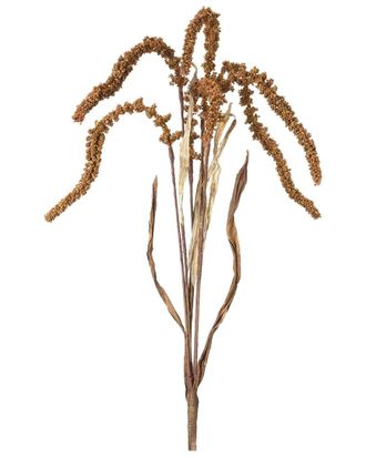 Melrose International Set Of 12 Amaranthus Stem
