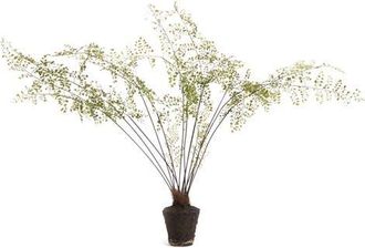 Napa Home & Garden Maidenhair Green Plastic Drop-In 44 at Nordstrom