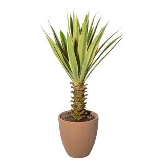 Gasper Kunstpflanze Yucca im Terracottatopf, Gr&uuml;ncreme H: 75 cm