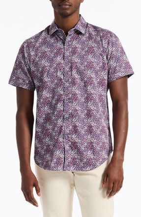 Robert Graham Fermont Short Sleeve Cotton Dress Shirt in Blue Multi at Nordstrom Rack, Size X-Large