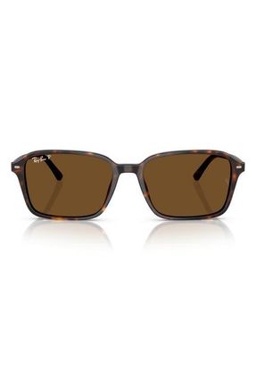 Ray-Ban 56mm Polarized Square Sunglasses in Havana at Nordstrom