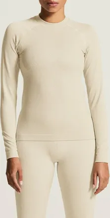 Craft Warm Comfort Performance Long Sleeve T-Shirt in Plaster at Nordstrom, Size Medium