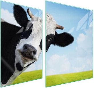 OEM Placa Protectora De Vidrio Para Estufa 70x52 Vaca