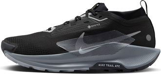 Nike Pegasus Trail 5 Gore-Tex Black Wolf Grey FQ0908-001