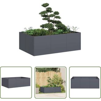 vidaXL Fioriera esterna - Fioriera Antracite 120x80x40 cm in Acciaio