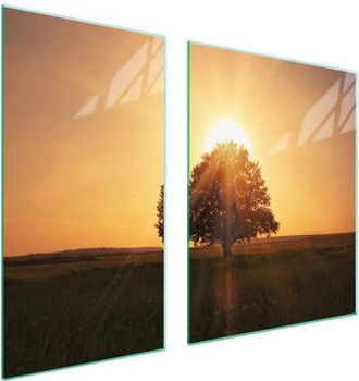 OEM Placa Protectora De Vidrio Para Estufa 90x52 &Aacute;rbol