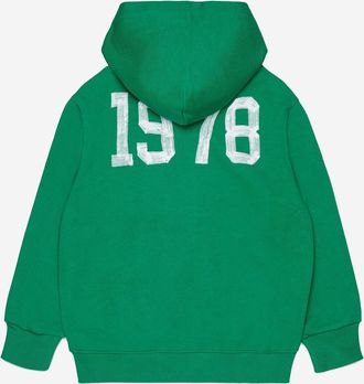 Diesel Boys Cotton Hoodie With Logo Green Cotton; Rib: Hoods & Sweatshirts