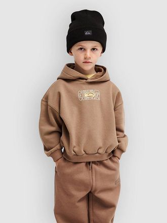 Quiksilver Tricks Boys Kids Hoodie roze